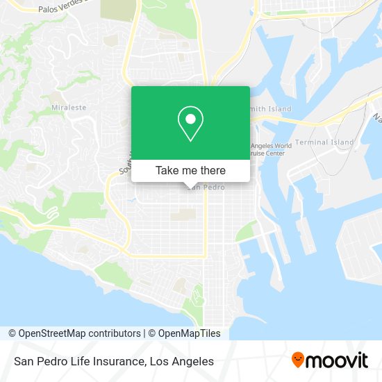San Pedro Life Insurance map