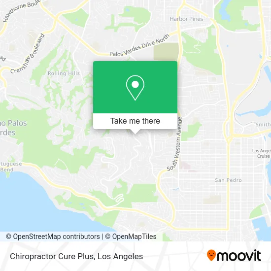 Chiropractor Cure Plus map