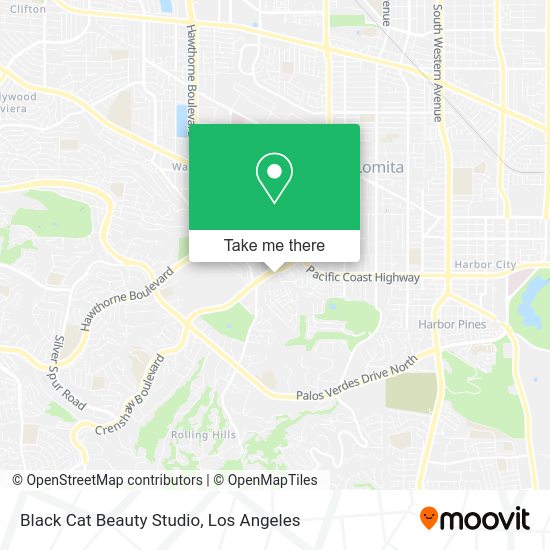 Black Cat Beauty Studio map