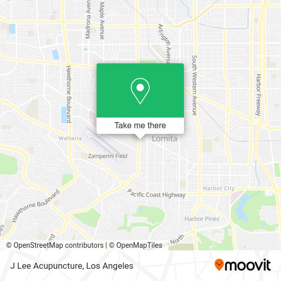 J Lee Acupuncture map
