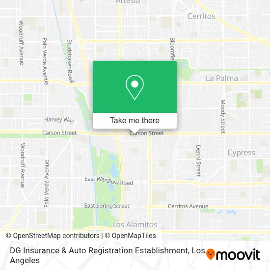 DG Insurance & Auto Registration Establishment map