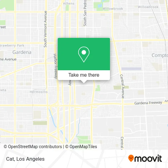 Cat map