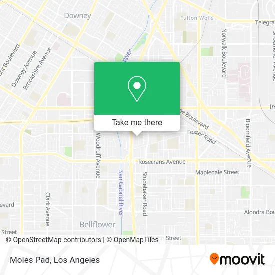 Moles Pad map