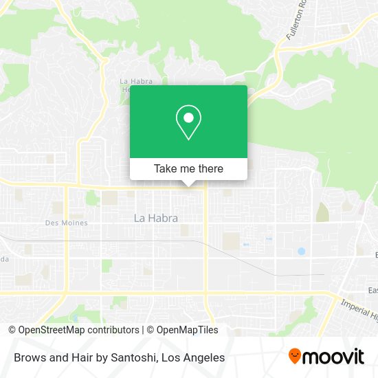 Brows and Hair by Santoshi map