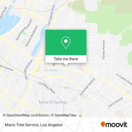 Mario Tree Service map