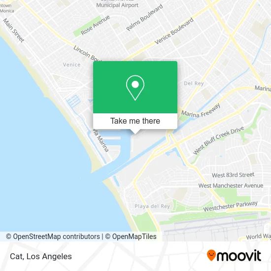 Cat map