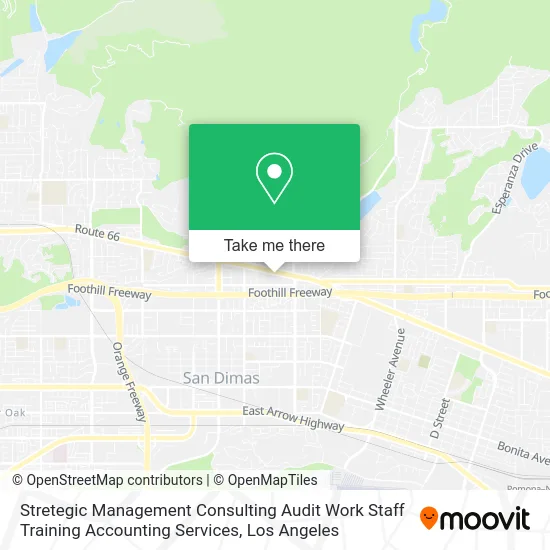 Mapa de Stretegic Management Consulting Audit Work Staff Training Accounting Services