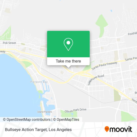 Bullseye Action Target map