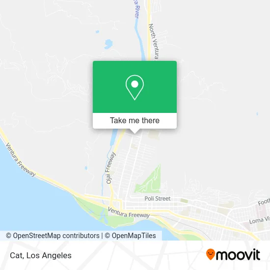 Cat map