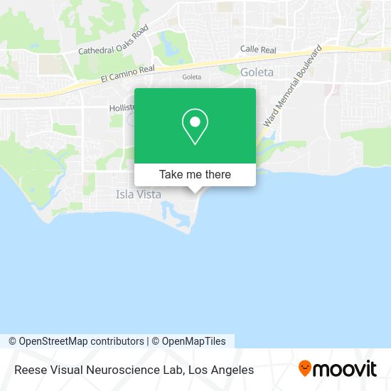 Mapa de Reese Visual Neuroscience Lab