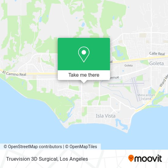 Truevision 3D Surgical map