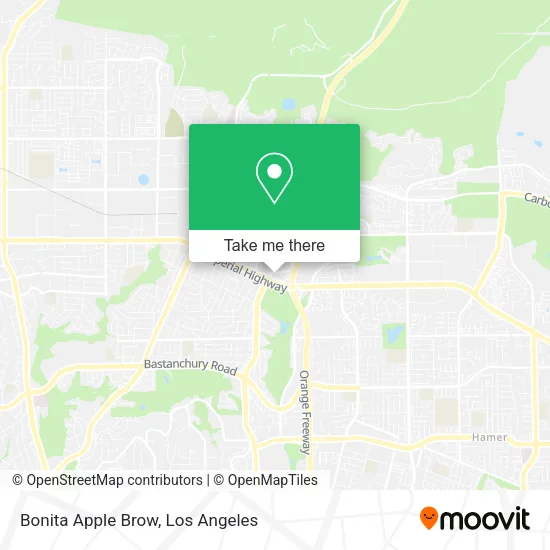 Bonita Apple Brow map