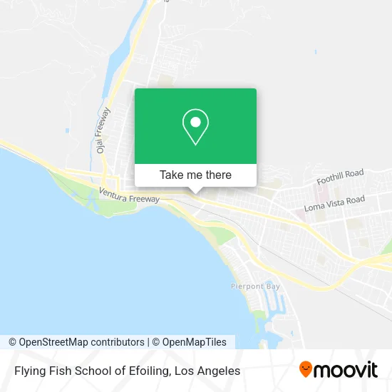 Mapa de Flying Fish School of Efoiling