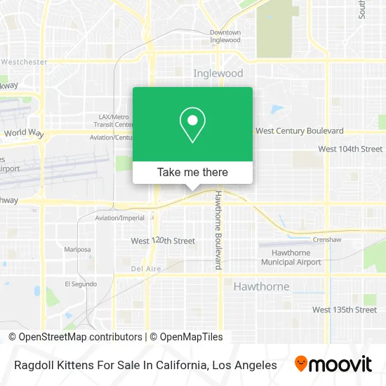 Ragdoll Kittens For Sale In California map