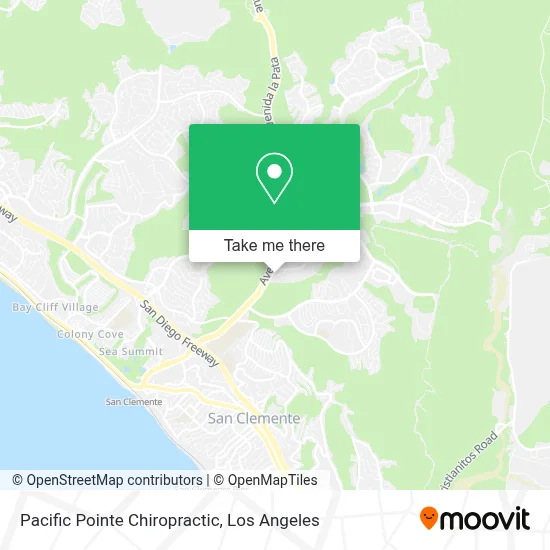 Pacific Pointe Chiropractic map