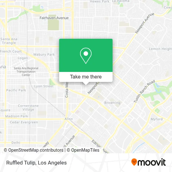 Ruffled Tulip map