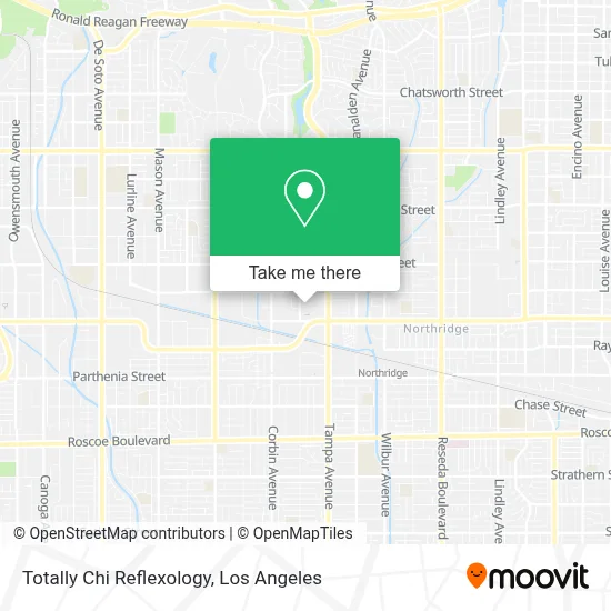 Totally Chi Reflexology map