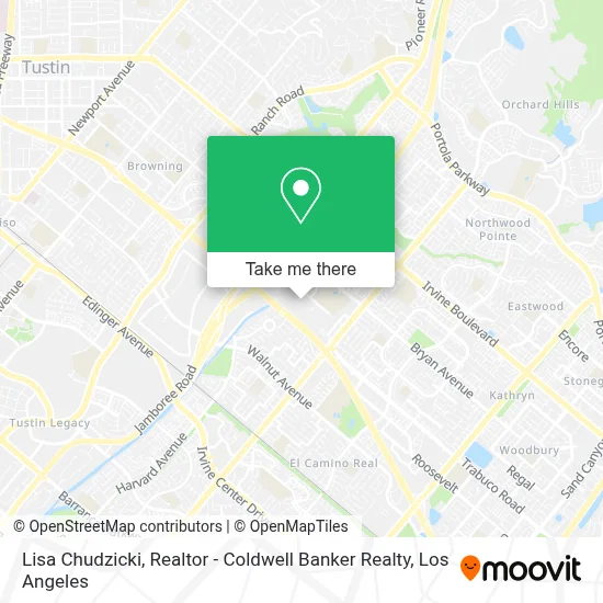 Lisa Chudzicki, Realtor - Coldwell Banker Realty map