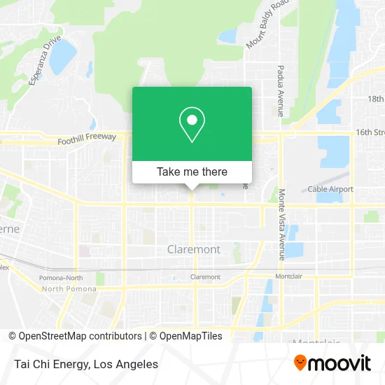 Tai Chi Energy map
