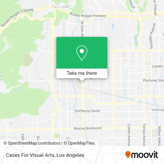 Cases For Visual Arts map