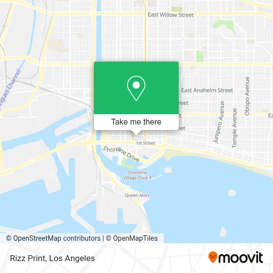 Rizz Print map