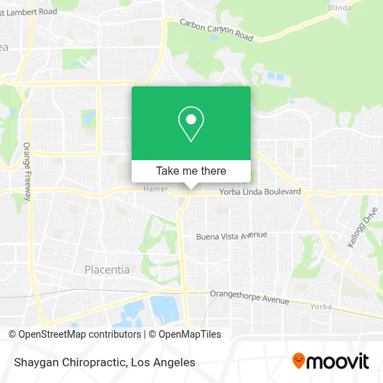 Shaygan Chiropractic map