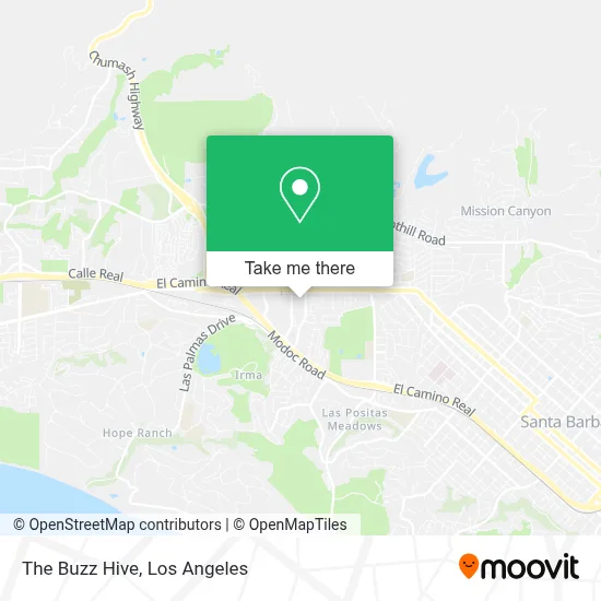 The Buzz Hive map