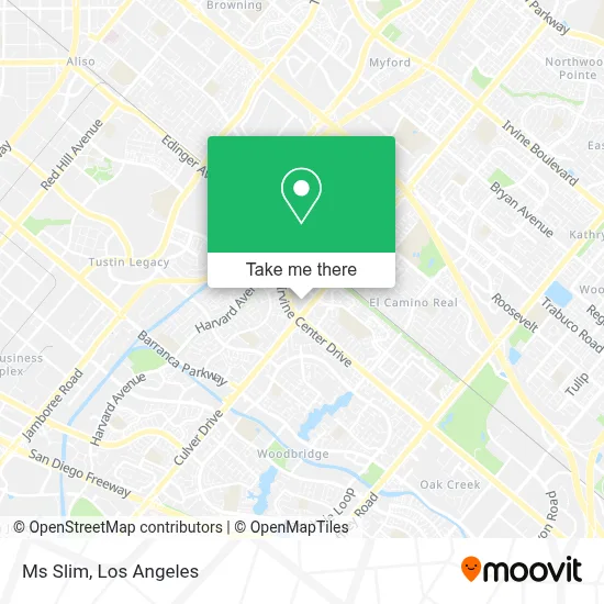 Ms Slim map