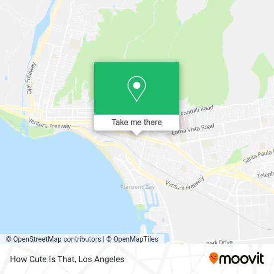 How Cute Is That map