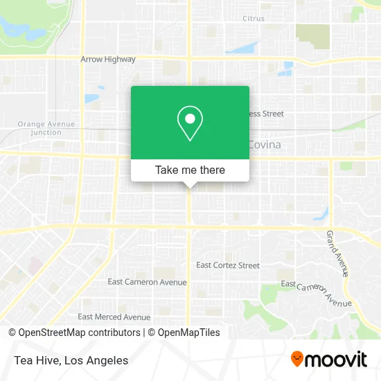 Tea Hive map
