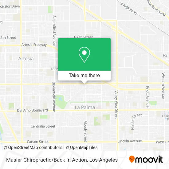Masler Chiropractic / Back In Action map