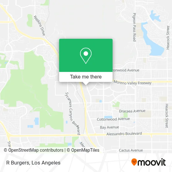 R Burgers map