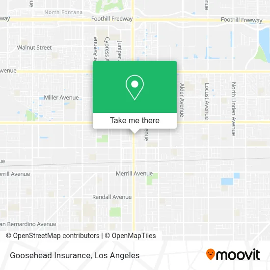 Goosehead Insurance map
