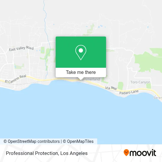 Professional Protection map