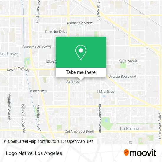 Logo Native map