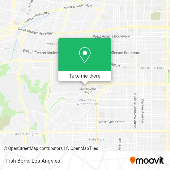 Fish Bone map