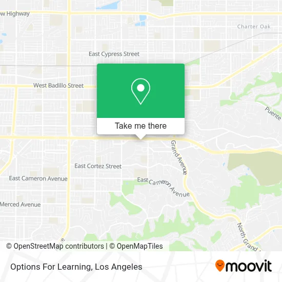 Options For Learning map
