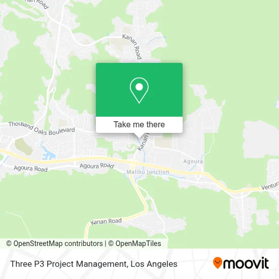 Three P3 Project Management map