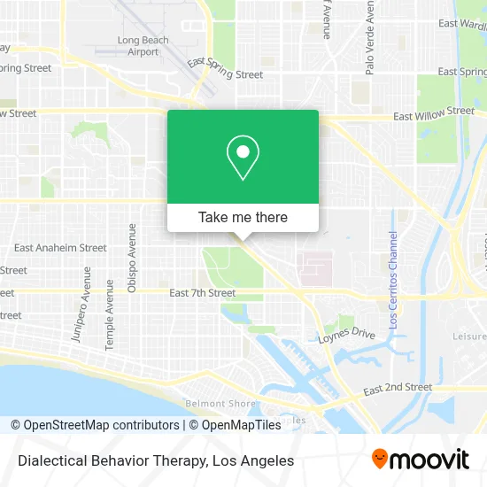 Dialectical Behavior Therapy map