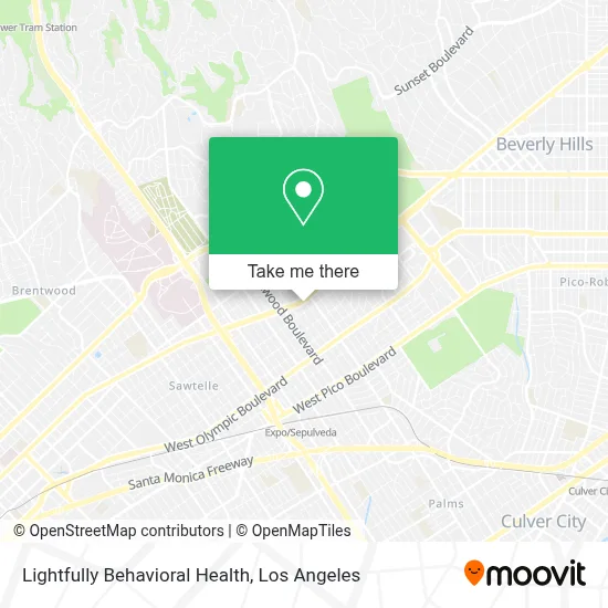 Lightfully Behavioral Health map