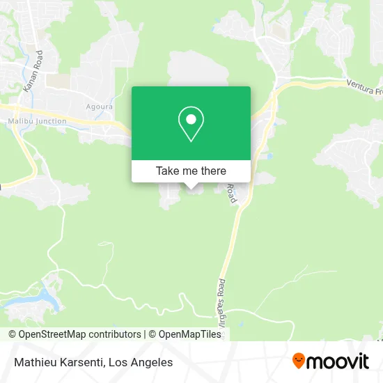 Mathieu Karsenti map