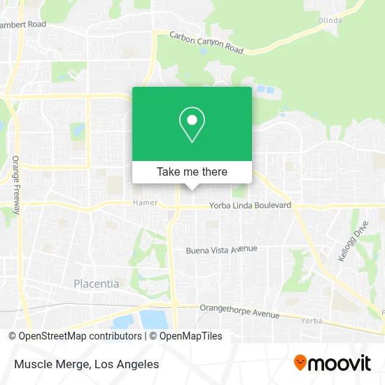 Muscle Merge map