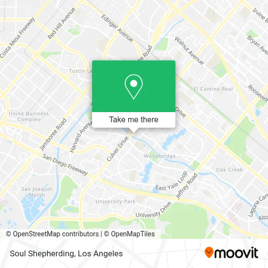 Soul Shepherding map
