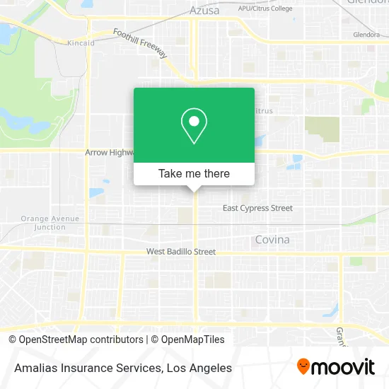 Amalias Insurance Services map