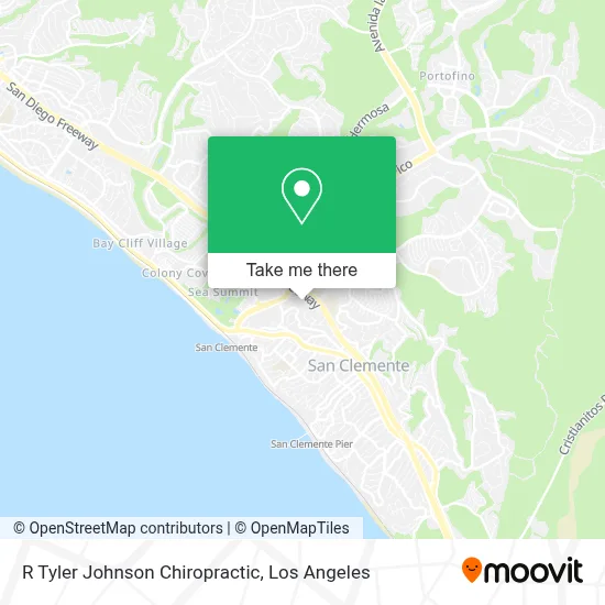 R Tyler Johnson Chiropractic map