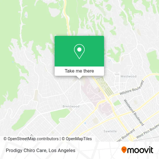 Prodigy Chiro Care map