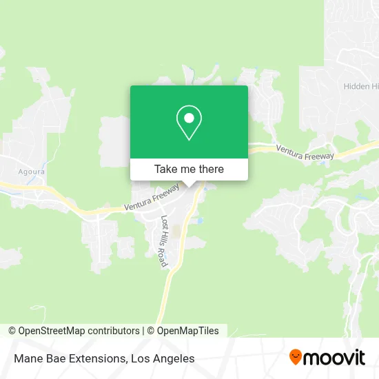 Mane Bae Extensions map