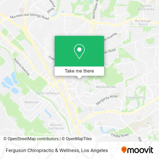 Ferguson Chiropractic & Wellness map