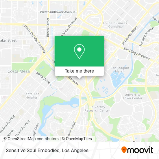 Sensitive Soul Embodied map