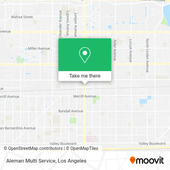 Aleman Multi Service map